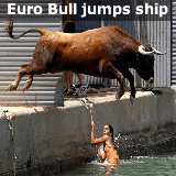 bull