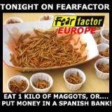 Fearfactor Europe fearfactor Europe