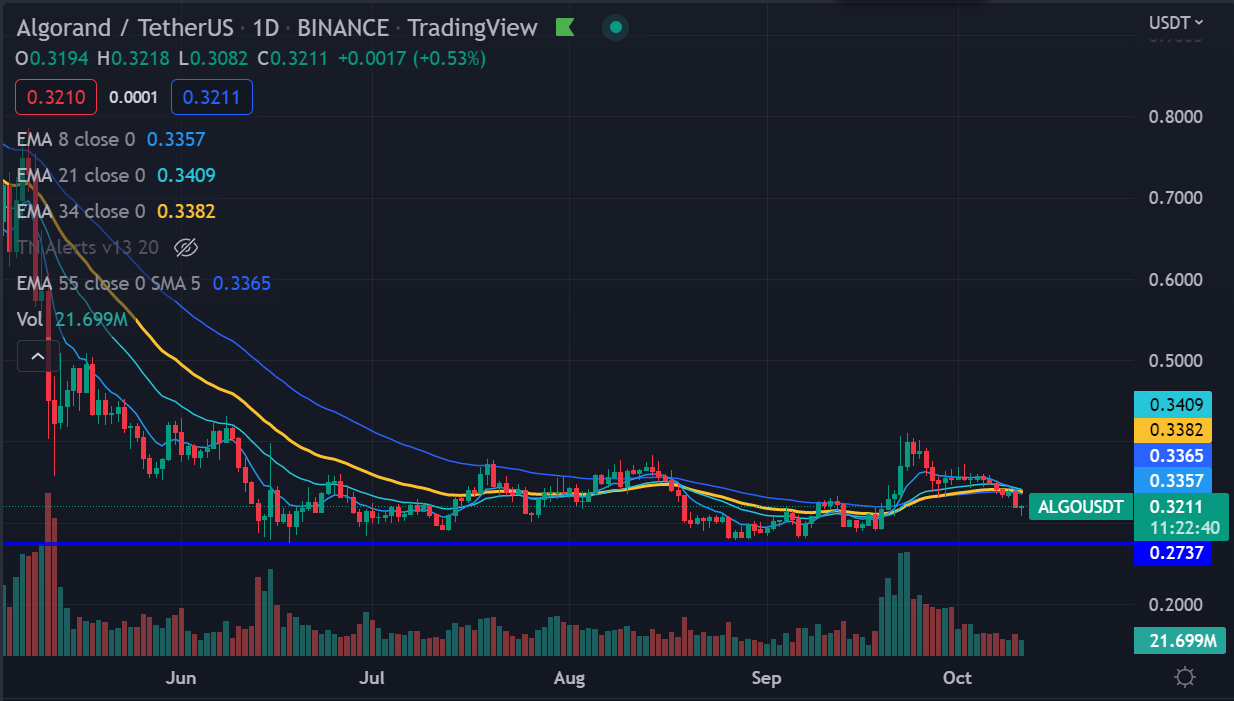 ALGO chart 11 oct