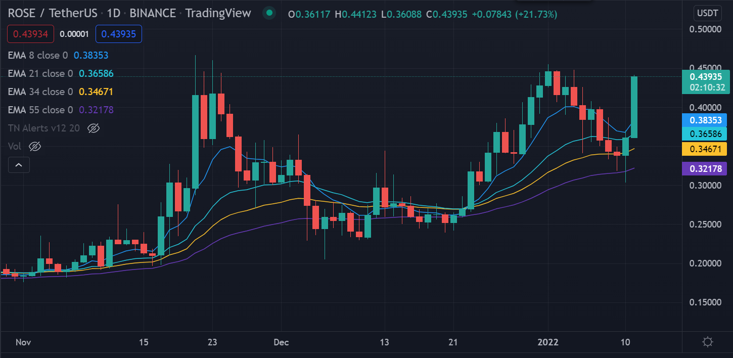 Rose chart 11 jan