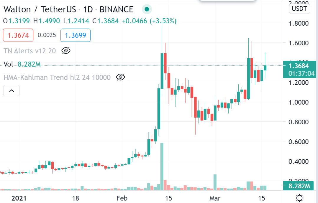 WTC forexinfo