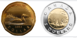 loonie toonie